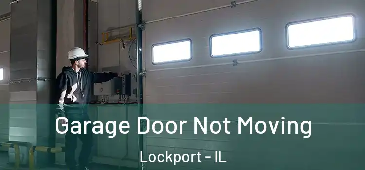  Garage Door Not Moving Lockport - IL