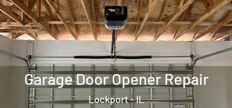  Garage Door Opener Repair Lockport - IL