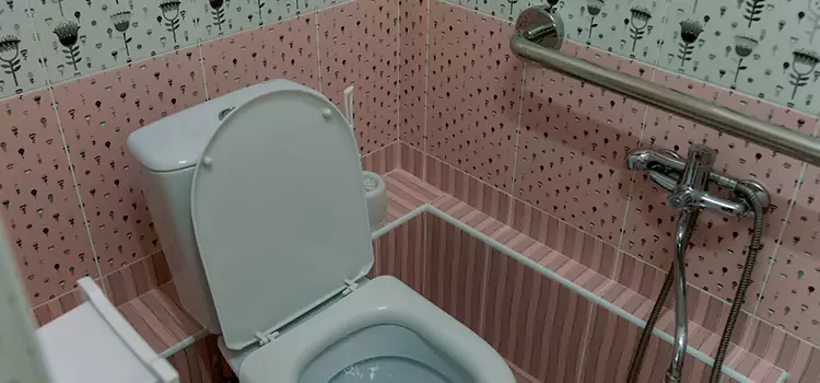 Meeting Diverse Needs With Accessible Restroom Solutions in Lockport, IL