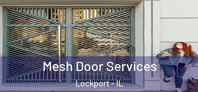Mesh Door Services Lockport - IL